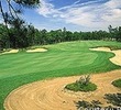 Pines Barrens Golf